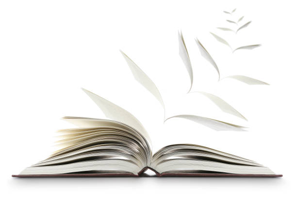 Lorem ipsum dolor sit amet